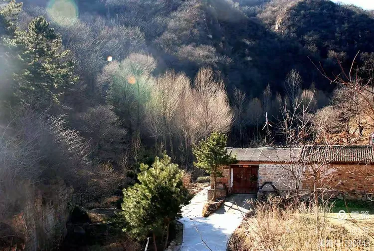 松树沟